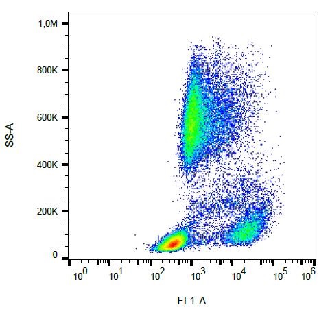 Flow Cytometry - FITC Anti-P-Selectin (CD62P) antibody [AK4] (AB239255)