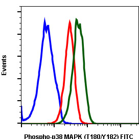 Flow Cytometry - FITC Anti-p38 (phospho T180 + Y182) antibody [P38T180Y182-E3] (AB278727), expandable thumbnail