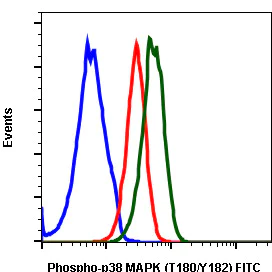 Flow Cytometry - FITC Anti-p38 (phospho T180 + Y182) antibody [P38T180Y182-E3] (AB278727)
