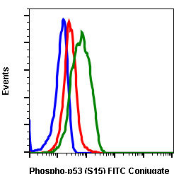 Flow Cytometry - FITC Anti-p53 (phospho S15) antibody [P53S15-1C11] (AB278543), expandable thumbnail