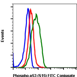 Flow Cytometry - FITC Anti-p53 (phospho S15) antibody [P53S15-1C11] (AB278543)