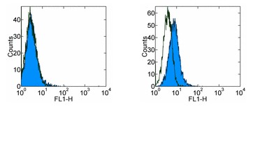 Flow Cytometry - FITC Anti-PD1 antibody [RMP1-30] (AB93579)