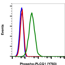 Flow Cytometry - FITC Anti-Phospholipase C gamma 1/PLC-gamma-1 (phospho Y783) antibody [PLCG1Y783-C4] (AB278709), expandable thumbnail