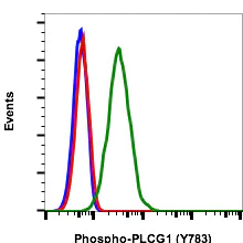 Flow Cytometry - FITC Anti-Phospholipase C gamma 1/PLC-gamma-1 (phospho Y783) antibody [PLCG1Y783-C4] (AB278709)
