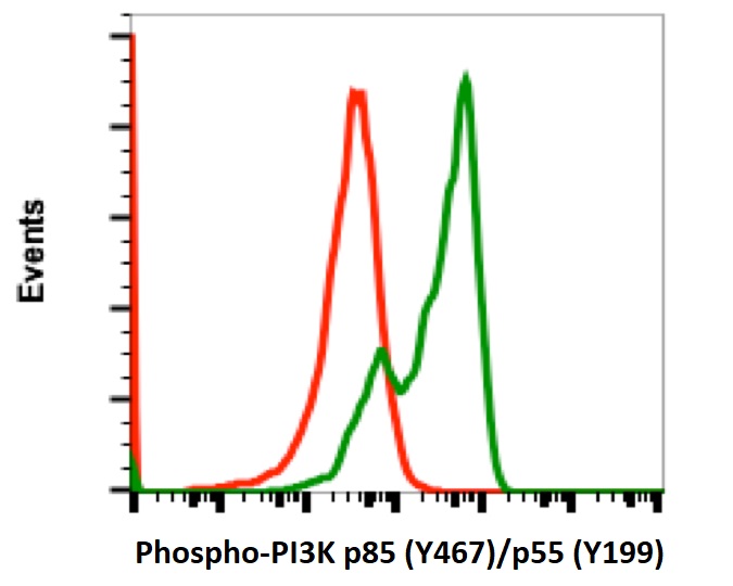 Flow Cytometry - FITC Anti-PI 3 Kinase p85 alpha (phospho Y467) + PI3 Kinase p55 (phospho Y199) antibody [PI3KY458-1A11] (AB278692), expandable thumbnail
