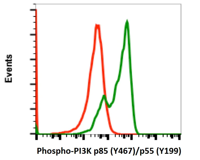 Flow Cytometry - FITC Anti-PI 3 Kinase p85 alpha (phospho Y467) + PI3 Kinase p55 (phospho Y199) antibody [PI3KY458-1A11] (AB278692)
