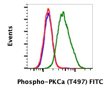 Flow Cytometry - FITC Anti-PKC alpha (phospho T497) antibody [PKCaT497-F1] (AB278609)