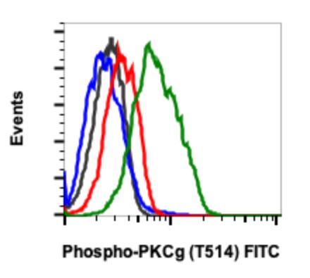 Flow Cytometry - FITC Anti-PKC (phospho T514) antibody [PKCgT514-PF4] (AB278788), expandable thumbnail