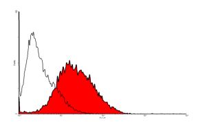 Flow Cytometry - FITC Anti-Podoplanin antibody [18H5] (AB205333), expandable thumbnail