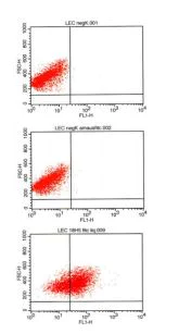 Flow Cytometry - FITC Anti-Podoplanin antibody [18H5] (AB205333)