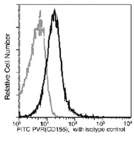 Flow Cytometry - FITC Anti-Poliovirus Receptor/PVR antibody [305] (AB275717), expandable thumbnail