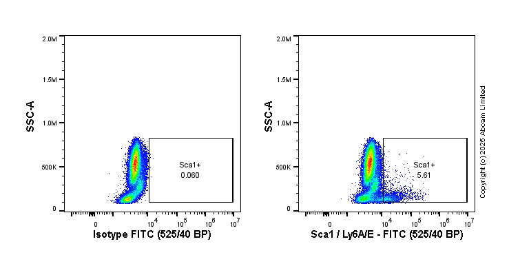 Flow Cytometry - FITC Rabbit IgG, monoclonal [EPR25A] - Isotype Control (AB223339), expandable thumbnail