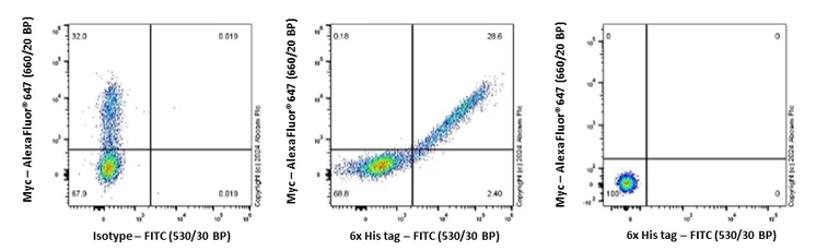 Flow Cytometry (Intracellular) - FITC Rabbit IgG, monoclonal [EPR25A] - Isotype Control (AB223339)