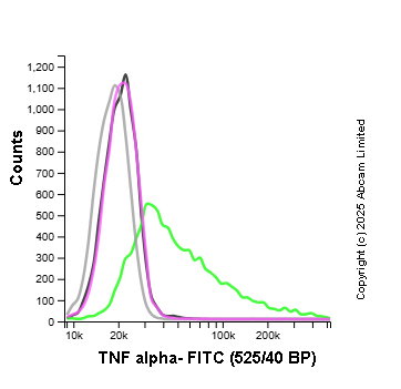 Flow Cytometry (Intracellular) - FITC Rabbit IgG, monoclonal [EPR25A] - Isotype Control (ab223339), expandable thumbnail