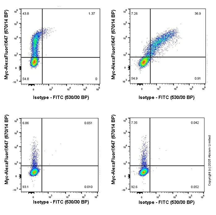 Flow Cytometry (Intracellular) - FITC Rabbit IgG, monoclonal [EPR25A] - Isotype Control (AB223339)