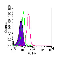 Flow Cytometry (Intracellular) - FITC Anti-ROR gamma antibody [4G419] (AB104906)