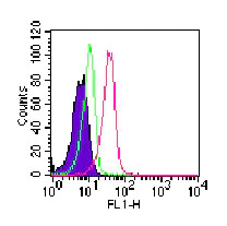 Flow Cytometry (Intracellular) - FITC Anti-ROR gamma antibody [4G419] (AB104906)