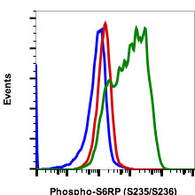 Flow Cytometry - FITC Anti-RPS6 (phospho S235 + S236) antibody [S6S235S236-R3A2] (AB278685), expandable thumbnail