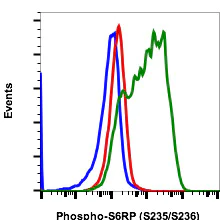 Flow Cytometry - FITC Anti-RPS6 (phospho S235 + S236) antibody [S6S235S236-R3A2] (AB278685)