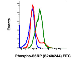 Flow Cytometry - FITC Anti-RPS6 (phospho S240 + S244) antibody [S6RPS240244-CD10] (AB278620), expandable thumbnail