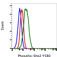 Flow Cytometry - FITC Anti-SHP2 (phospho Y580) antibody [Shp2Y580-4A2] (AB278701)
