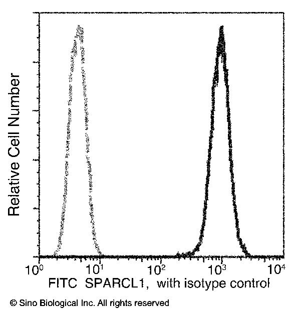 Flow Cytometry (Intracellular) - FITC Anti-SPARCL1 antibody [390] (AB275643)