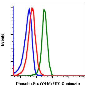 Flow Cytometry - FITC Anti-Src (phospho Y416) antibody [SrcY416-C4] (AB278695)