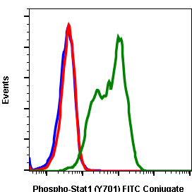 Flow Cytometry - FITC Anti-STAT1 (phospho Y701) antibody [Stat1Y701-3E6] (AB278714)