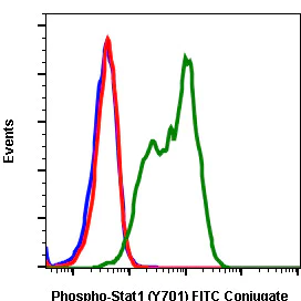 Flow Cytometry - FITC Anti-STAT1 (phospho Y701) antibody [Stat1Y701-3E6] (AB278714)