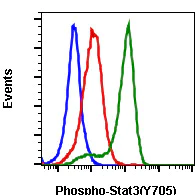 Flow Cytometry - FITC Anti-STAT3 (phospho Y705) antibody [Stat3Y705-B12] (AB278671)