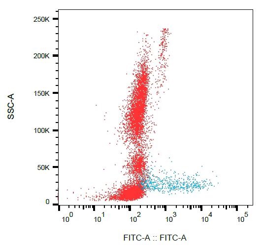 Flow Cytometry - FITC Anti-Syndecan-1 antibody [MI15] (AB234272)