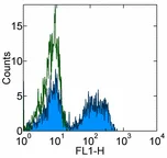 Flow Cytometry - FITC Anti-TCR alpha + TCR beta antibody [IP26] (AB95648)