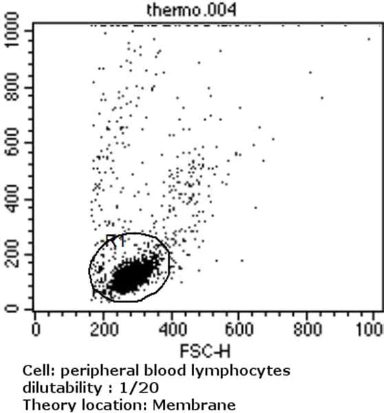 Flow Cytometry - FITC Anti-TCR gamma + TCR delta antibody [5A6.E91] (AB171110)