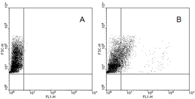 Flow Cytometry (Intracellular) - FITC Anti-TLR9 antibody [5G5] (AB58864)