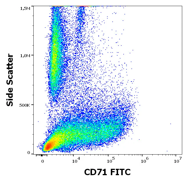 Flow Cytometry - FITC Anti-Transferrin Receptor antibody [MEM-75] (AB239251)