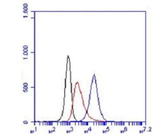 Flow Cytometry - FITC Anti-TREM2 antibody [6E9] (AB236286)