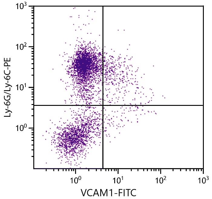 Flow Cytometry - FITC Anti-VCAM1 antibody [M/K-2] (AB24853)
