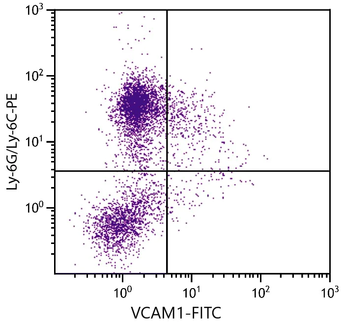 Flow Cytometry - FITC Anti-VCAM1 antibody [M/K-2] (AB24853)