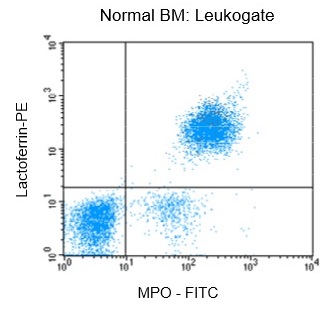 Flow Cytometry - Fix & Perm / Cell Fixation & Permeabilization Kit (Flow Cytometry) (ab185917), expandable thumbnail