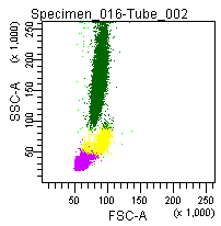 Flow Cytometry - Fix & Perm / Cell Fixation & Permeabilization Kit (Flow Cytometry) (AB185917), expandable thumbnail