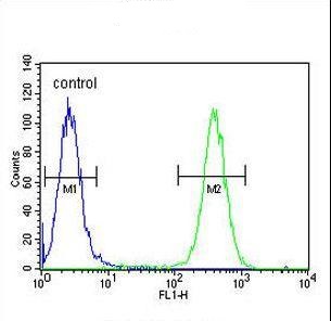 Flow Cytometry (Intracellular) - Anti-FKBP10 antibody (AB230852)
