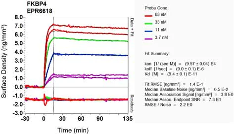 OI-RD Scanning - Anti-FKBP52 antibody [EPR6618] - BSA and Azide free (AB240535)