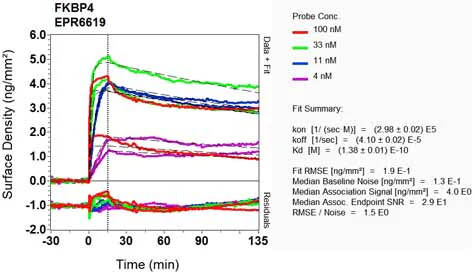 OI-RD Scanning - Anti-FKBP52 antibody [EPR6619] - BSA and Azide free (AB248052)