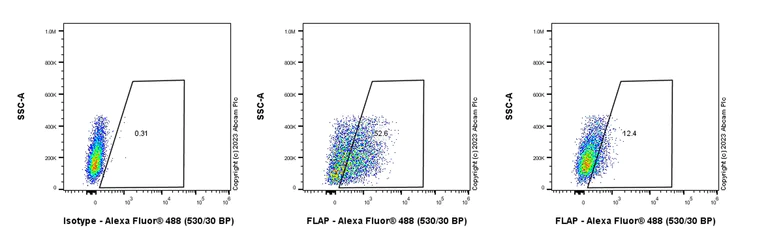 Flow Cytometry (Intracellular) - Anti-FLAP antibody [EPR27505-52] - BSA and Azide free (AB314653)