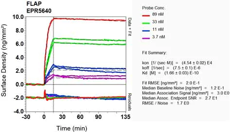 OI-RD Scanning - Anti-FLAP antibody [EPR5640] - BSA and Azide free (AB247977)