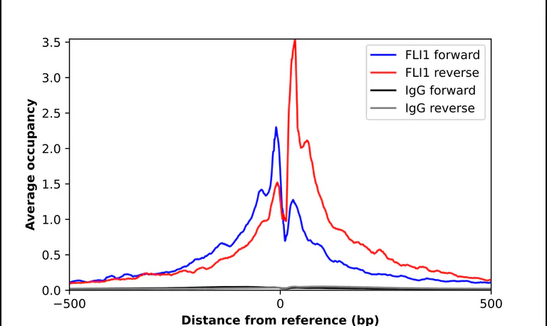 ChIP - Anti-FLI1 Antibody (AB327277)