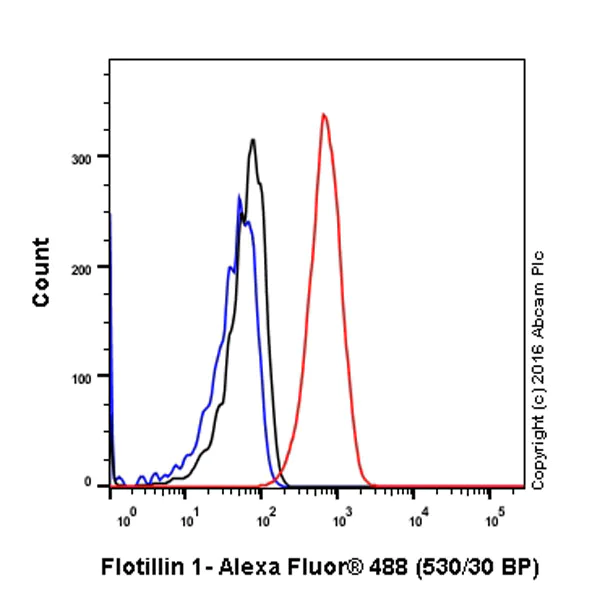 Flow Cytometry (Intracellular) - Anti-Flotillin 1 antibody [EPR6041] - BSA and Azide free (AB232405)
