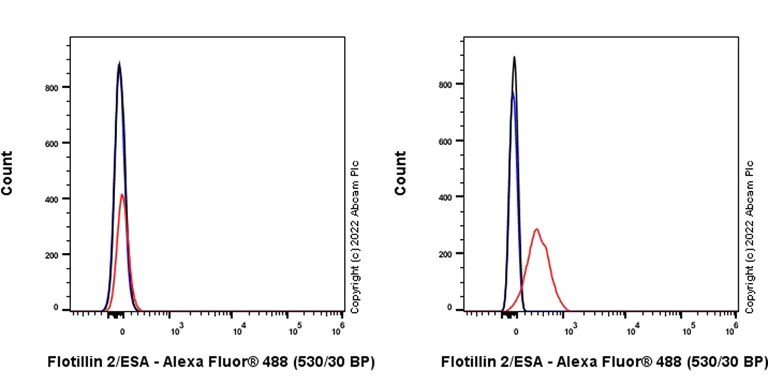 Flow Cytometry (Intracellular) - Anti-Flotillin 2/ESA antibody [EPR26975-52] (AB307422)