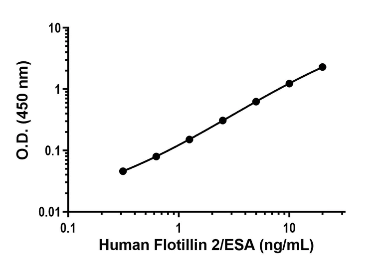 Sandwich ELISA - Anti-Flotillin 2/ESA antibody [EPR26975-52] - BSA and Azide free (Detector) (AB314466)