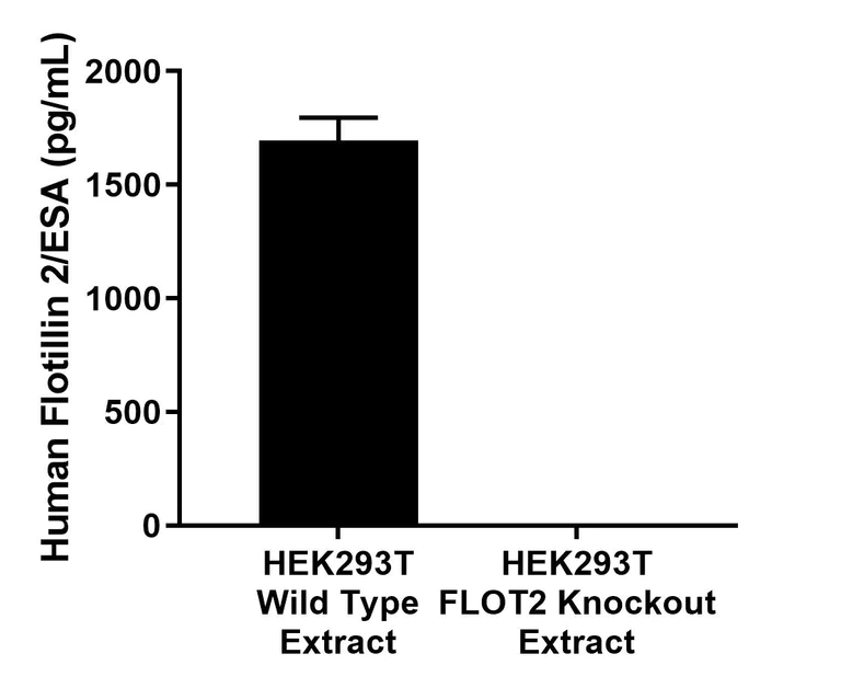 Sandwich ELISA - Anti-Flotillin 2/ESA antibody [EPR26975-52] - BSA and Azide free (Detector) (AB314466)